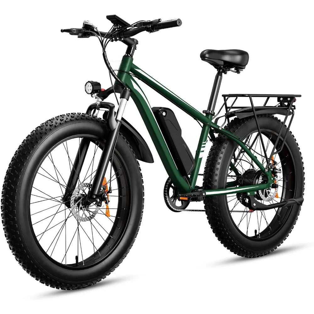 FINE LINE 500W, 48V 15AH  PEAK ELECTRIC BIKE - FINE LINE QUALITY PRODUCTS