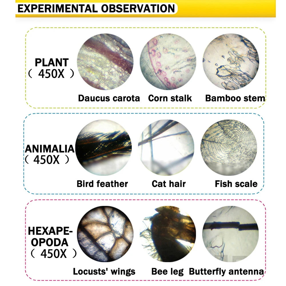 FINE LINE FOCUS MICROSCOPE KIT - FINE LINE QUALITY PRODUCTS