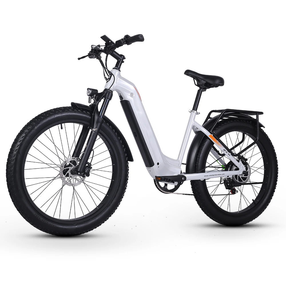 FINE LINE ADULT 1000W ELECTRIC BIKE - FINE LINE QUALITY PRODUCTS