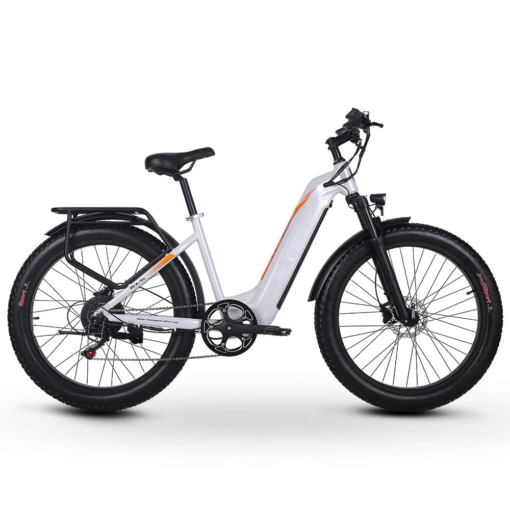 FINE LINE ADULT 1000W ELECTRIC BIKE - FINE LINE QUALITY PRODUCTS