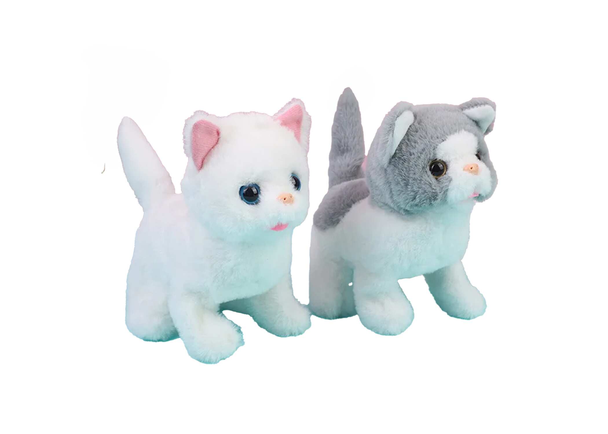 FINE LINE INTERACTIVE CUTE CATS - FINE LINE QUALITY PRODUCTS